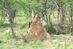 0159-Reis Zuid-Afrika2007
